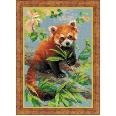 1627 "Красная панда" наб/выш Риолис