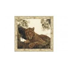 ДЖ-022 "Сомалийский леопард"