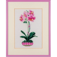1162 "Розовая орхидея"