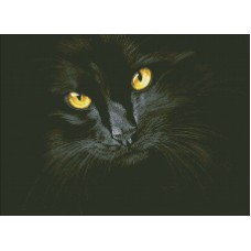 М-301 "Черная кошка"