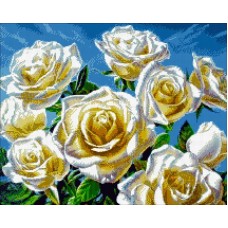 М243 "Белые розы"
