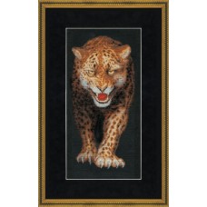 НС-002 "Леопард"